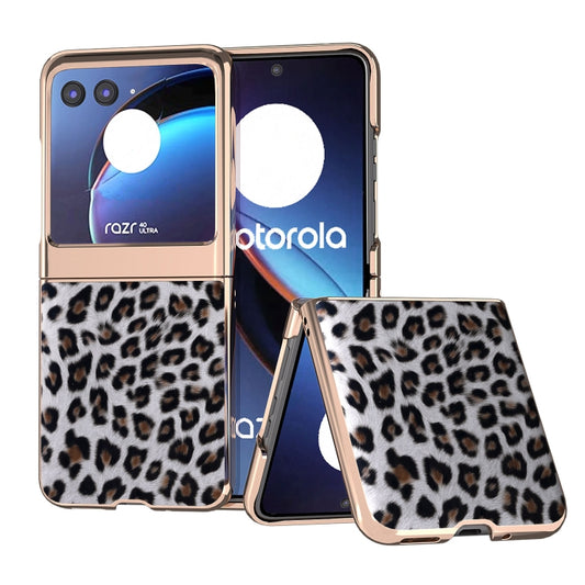 For Motorola Razr 40 Ultra Nano Plating Leopard Print Phone Case(Silver) - Motorola Cases by buy2fix | Online Shopping UK | buy2fix