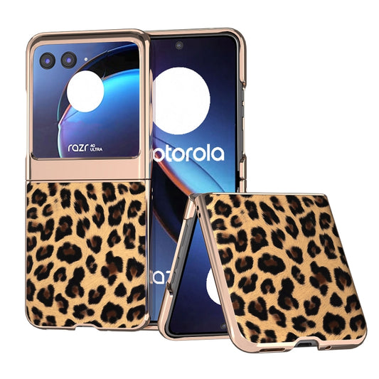 For Motorola Razr 40 Ultra Nano Plating Leopard Print Phone Case(Gold) - Motorola Cases by buy2fix | Online Shopping UK | buy2fix