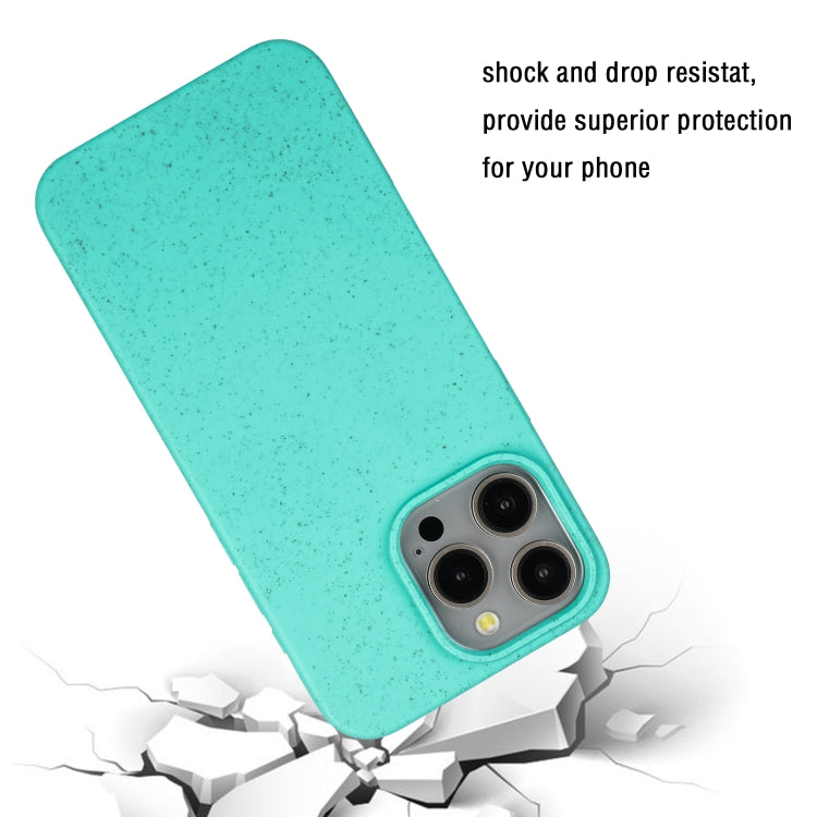 For iPhone 12 Pro Max Wheat MagSafe Magnetic Straw Material + TPU Phone Case(Green) - iPhone 12 Pro Max Cases by buy2fix | Online Shopping UK | buy2fix