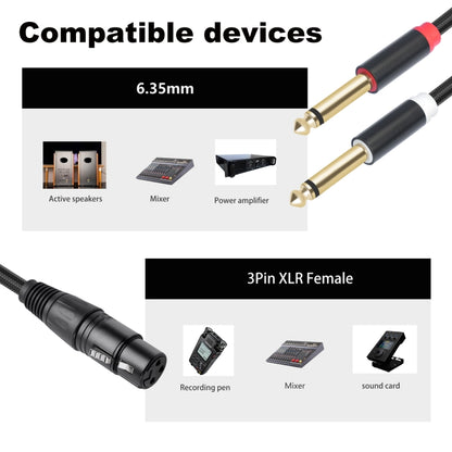 2020Y63 XLR Female to Dual 6.35mm 1/4 TRS Male Y-type Audio Cable, Length:3m(Black) - Microphone Audio Cable & Connector by buy2fix | Online Shopping UK | buy2fix
