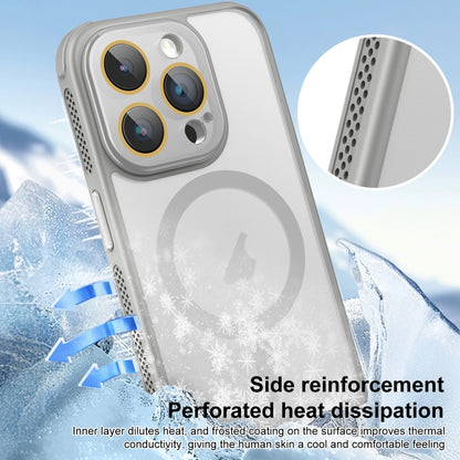 For iPhone 14 Pro Max Side Cooling Skin Feel Frosted MagSafe Magnetic Phone Case(Sky Blue) - iPhone 14 Pro Max Cases by buy2fix | Online Shopping UK | buy2fix