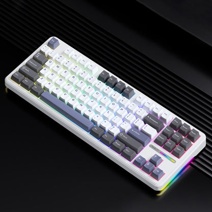 AULA F87 87 Keys Wired/2.4G/Bluetooth Three Model Customized RGB Mechanical Keyboard(White Grey Blue) - Wireless Keyboard by AULA | Online Shopping UK | buy2fix