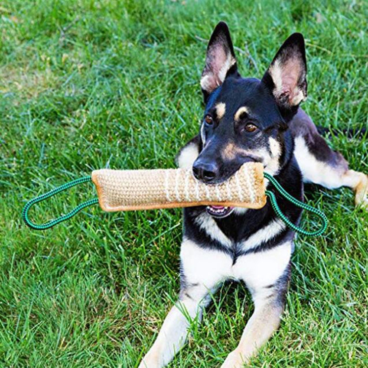 Dog Training Hemp Bite Stick Dog Bite Stick Dog Training Supplies(A3) - Training Aids by buy2fix | Online Shopping UK | buy2fix