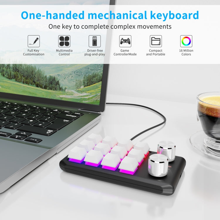 12 Keys Wired With RGB Lights Customized Office Keyboard Shortcut Keys Computer Audio Volume Control(Black) - Mini Keyboard by buy2fix | Online Shopping UK | buy2fix