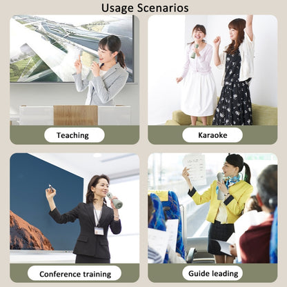 Oubai Z10 Bluetooth Wireless Microphone Voice Megaphone For Teacher, Version: PPT Clicker Version - Microphone by OubaiI | Online Shopping UK | buy2fix