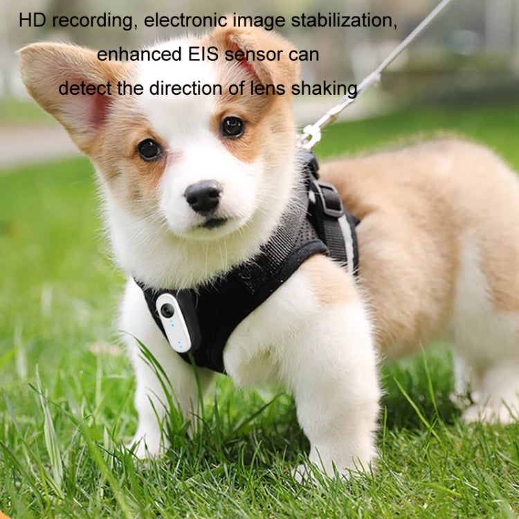 HD Outdoor Portable Pet Recorder Cycling Sports Camera, Specifications: With 64G TF Card - Video Cameras by buy2fix | Online Shopping UK | buy2fix