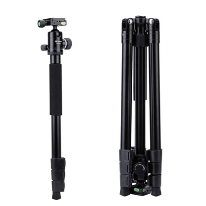 Fotopro F5 4-Section Quick Unlock Tripod Monopod with Ball Head (Black) - Tripods by Fotopro | Online Shopping UK | buy2fix