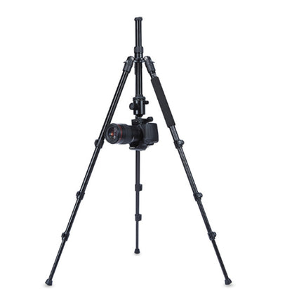 TRIOPO Oubao A-308S Adjustable Portable  Aluminum Alloy Tripod with Ball Head for SLR Camera - Tripods by TRIOPO | Online Shopping UK | buy2fix