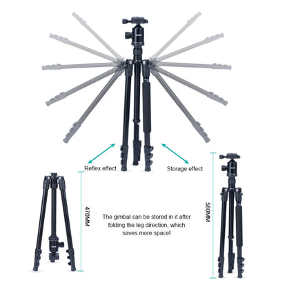 TRIOPO Oubao A-308S Adjustable Portable  Aluminum Alloy Tripod with Ball Head for SLR Camera - Tripods by TRIOPO | Online Shopping UK | buy2fix