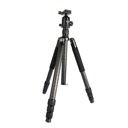 BEXIN W324C G44 Carbon Fiber Tripod Stable Shooting Camera for Video Point Dslr Camera - Camera Accessories by BEXIN | Online Shopping UK | buy2fix