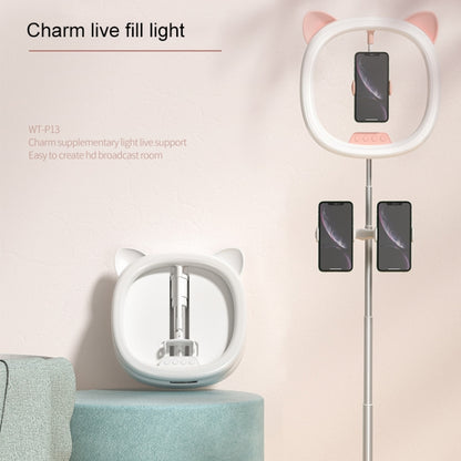 WK WT-P13 Charm Filling Light Live Holder Beauty Eye Care Filling Light (White) - Consumer Electronics by WK | Online Shopping UK | buy2fix