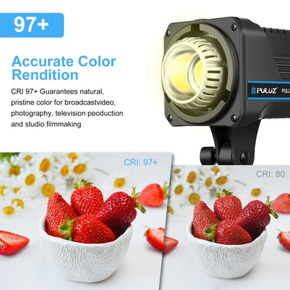 PULUZ 220V 120W Studio Video Light Dual Color Temperature Built-in Dissipate Heat System with Remote Control(US Plug) - Shoe Mount Flashes by PULUZ | Online Shopping UK | buy2fix