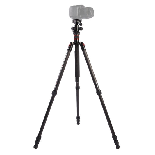 Triopo GT-2504X8.C Adjustable Portable Carbon Fiber Tripod with B-1 Aluminum Ball Head for Canon Nikon Sony DSLR Camera(Black) - Camera Accessories by TRIOPO | Online Shopping UK | buy2fix