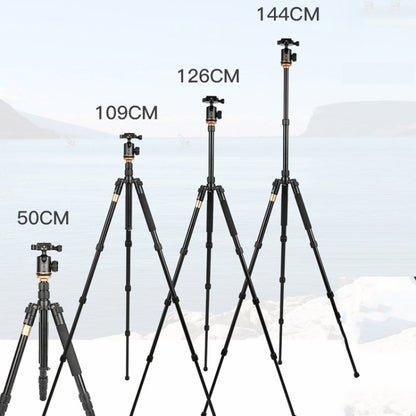 QingZhuangShiDai Q999S Portable Projector Photography Camera Live Gimbal Tripod(Black) - Consumer Electronics by QingZhuangShiDai | Online Shopping UK | buy2fix