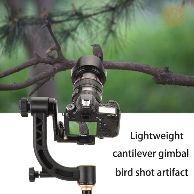 QingZhuangShiDai Q35 SLR Camera Telephoto Lens Bird Watching Tripod Head(Gold) - Tripod Heads by QingZhuangShiDai | Online Shopping UK | buy2fix