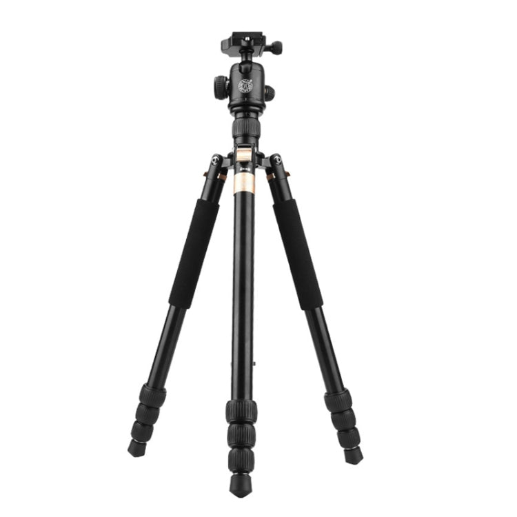 QingZhuangShiDai  Q999B Portable and Stable Photography SLR Digital Camera Tripod(Gold) - Camera Accessories by QingZhuangShiDai | Online Shopping UK | buy2fix