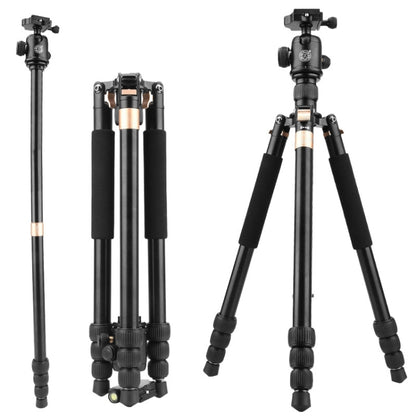 QingZhuangShiDai  Q999B Portable and Stable Photography SLR Digital Camera Tripod(Gold) - Camera Accessories by QingZhuangShiDai | Online Shopping UK | buy2fix