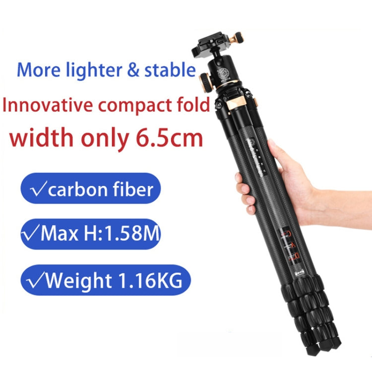 QingZhuangShiDai Q8805C CNC Camera SLR Carbon Fiber Tripod Without Central Axis(Black Gold) - Camera Accessories by QingZhuangShiDai | Online Shopping UK | buy2fix