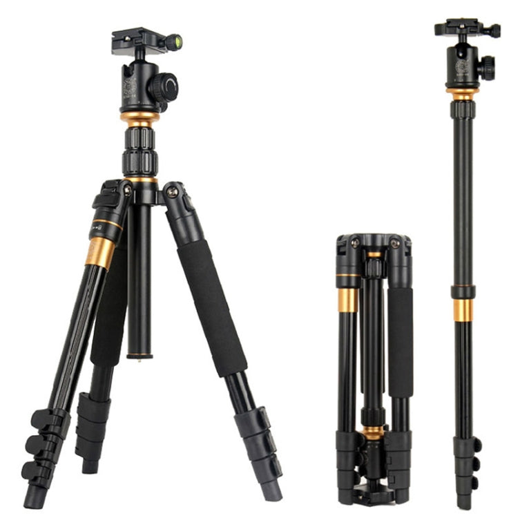 QingZhuangShiDai Q570 Multifunctional Digital SLR Camera Portable Tripod(Black) - Camera Accessories by QingZhuangShiDai | Online Shopping UK | buy2fix