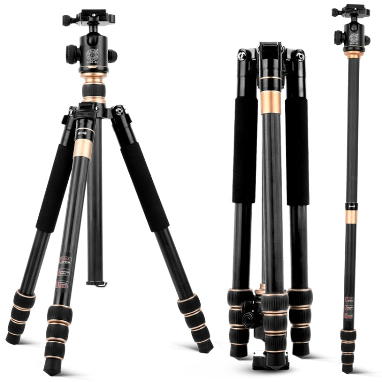 QingZhuangShiDai Q222C SLR Camera Carbon Fiber Portable Travel Tripod(Black) - Camera Accessories by QingZhuangShiDai | Online Shopping UK | buy2fix